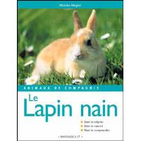 Le lapin nain