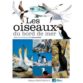 Martin Pêcheur Huppé Corythornis Cristatus