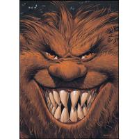 Coffret 4 Volumes Millésime 2005