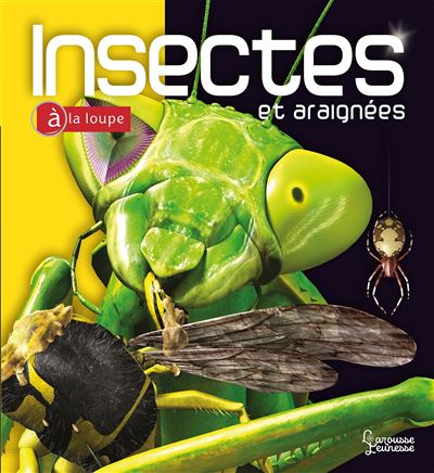 Insectes et araignees