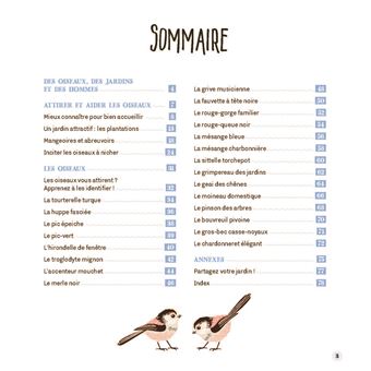 Attirer les oiseaux dans mon jardin