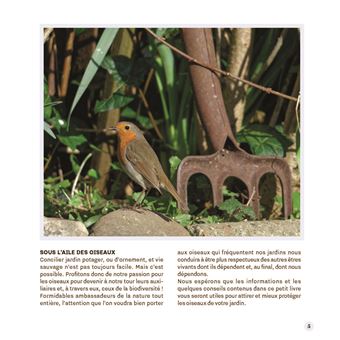 Attirer les oiseaux dans mon jardin