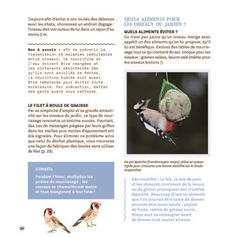 Attirer les oiseaux dans mon jardin