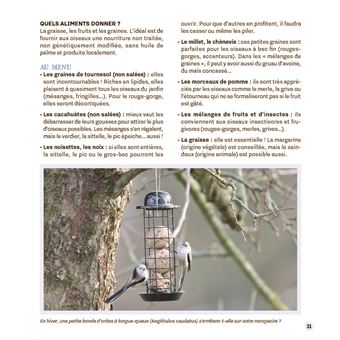 Attirer les oiseaux dans mon jardin