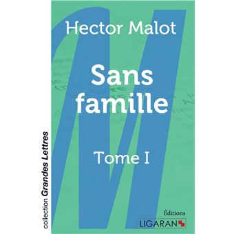 Sans famille (grands caractères)