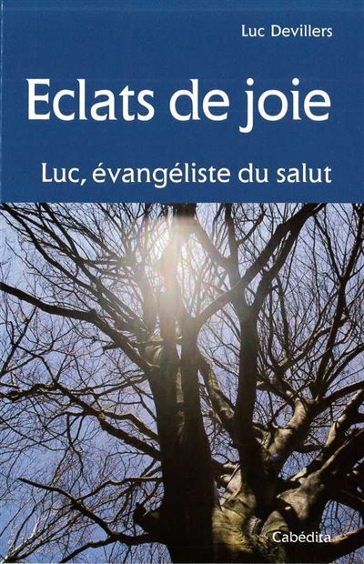 Eclats de joie - Luc Devillers - broché