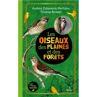 Les oiseaux des plaines et des fôrets
