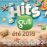 Les hits de Gulli Eté 2019 Coffret_0