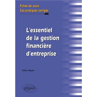 L’essentiel De La Gestion Financière D’entreprise. Fiches De Cours Et ...