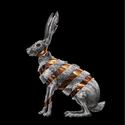 Jackrabbit - Inclus CD