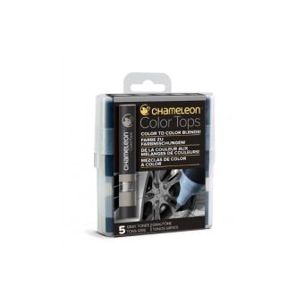 Set de 5 embouts d'encre Chameleon Tons de gris