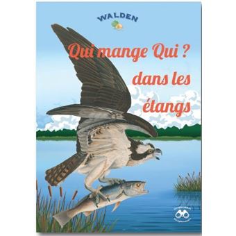 Qui mange qui dans les e´tangs