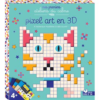 Pixel art en 3D - boîte avec accessoires