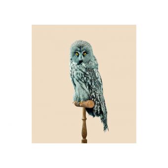 Post Natural History (Ed. Standard)