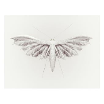 Post Natural History (Ed. Standard)