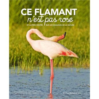 Ce flamant n'est pas rose - 1