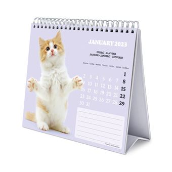 Calendrier bureau 2023 Cats