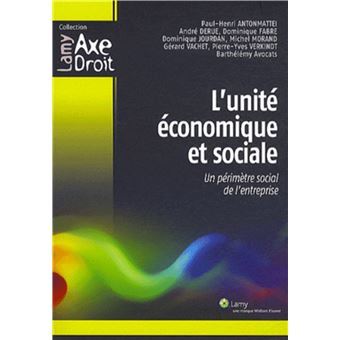 L Unite Economique Et Sociale