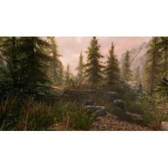 The Elder Scrolls V: Skyrim - Legendary Edition (Game ... | Jeu vidéo