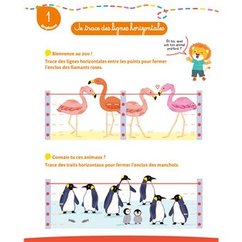 Bravo les maternelles - Tout le programme - Moyenne section 4-5 ANS