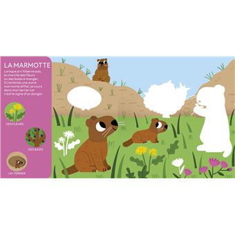 Les animaux de la montagne