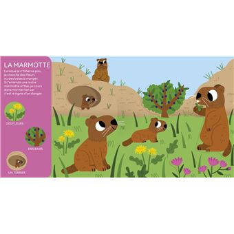 Les animaux de la montagne