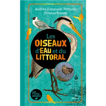 Les oiseaux d'eau et du littoral