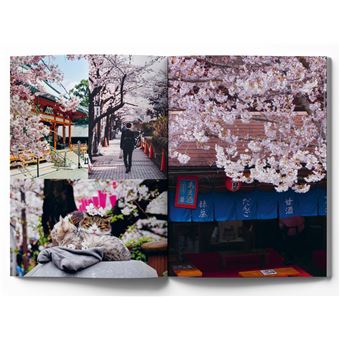 Mochi et autres pâtisseries japonaises