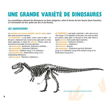 Incroyables dinosaures
