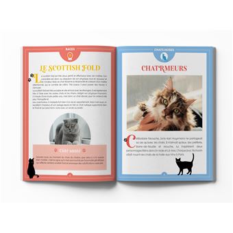 Tout savoir sur les chats pour mieux les aimer - Bible du félin illustrée et documentée