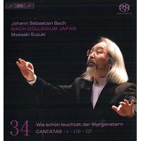 Cantatas vol.34