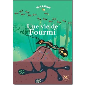 Un travail de fourmi