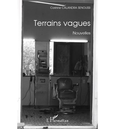Terrains vagues