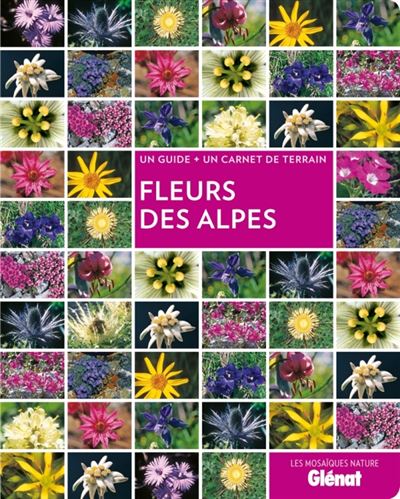 Fleurs des Alpes - Sandrine Stefaniak - broché