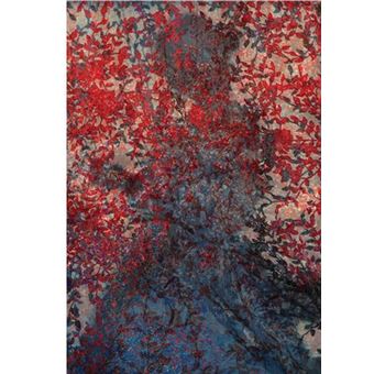 Erik Madigan Heck The Tapestry /anglais - 1