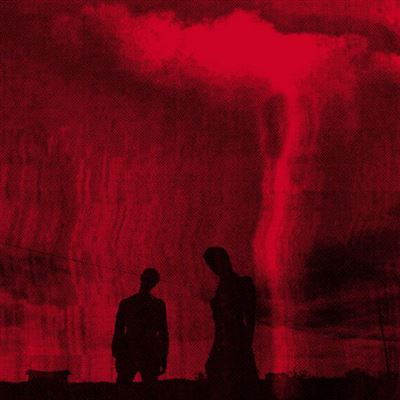 LOVE HATES WHAT YOU BECOME/LP