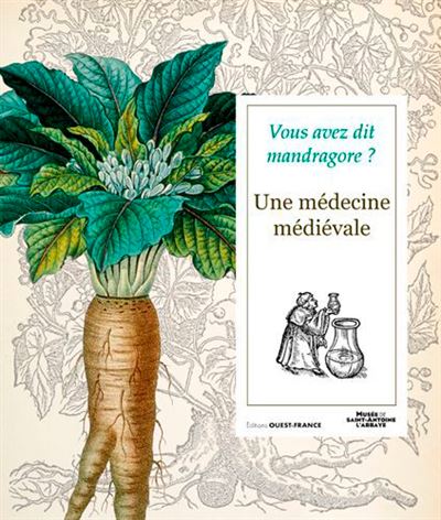Vous avez dit mandragore ? une medecine medievale