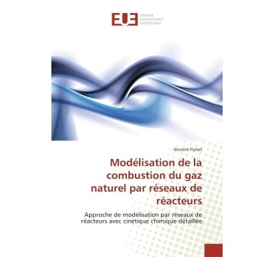 Modélisation de la combustion du gaz naturel par réseaux de réacteurs