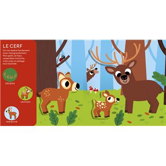 Les animaux de la forêt