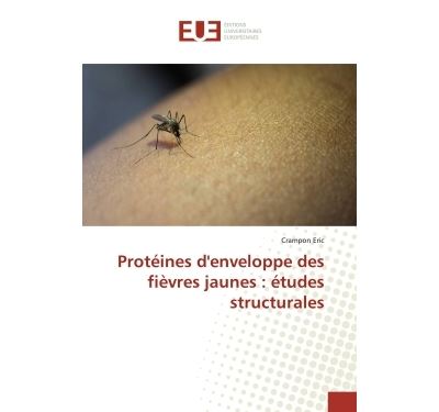 Protéines d'enveloppe des fiEvres jaunes : études structurales
