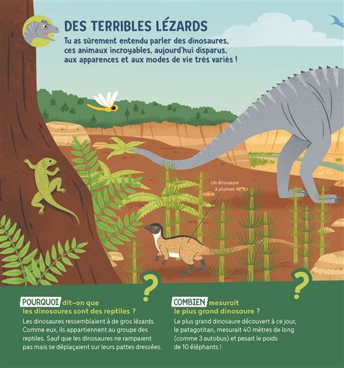 Découverte : ces dinosaures vivaient et se déplaçaient en groupes