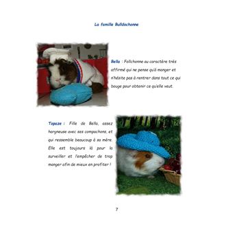 Au pays de Chonland, vers de nouveaux horizons