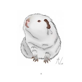 Au pays de Chonland, vers de nouveaux horizons