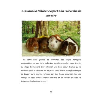 Au pays de Chonland, vers de nouveaux horizons