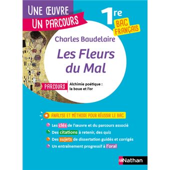 Les Fleurs Du Mal Bac Francais 1re Broche Charles Baudelaire David Galand Achat Livre Ou Ebook Fnac