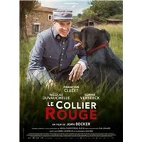 Le Collier rouge DVD