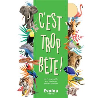 C'est trop bête