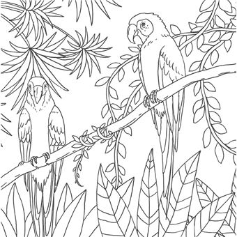 Les petits carrés d'Art-thérapie Jungle