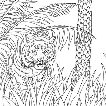 Les petits carrés d'Art-thérapie Jungle