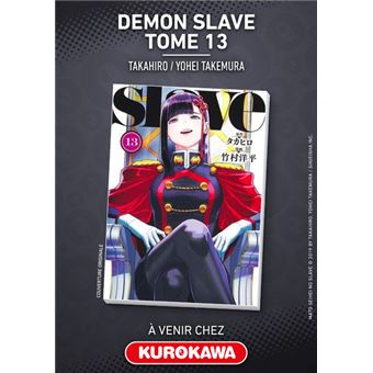 Demon Slave - Tome 13